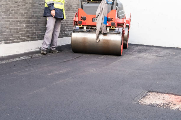 Trusted Hotchkiss, CO Driveway Paving Services Experts